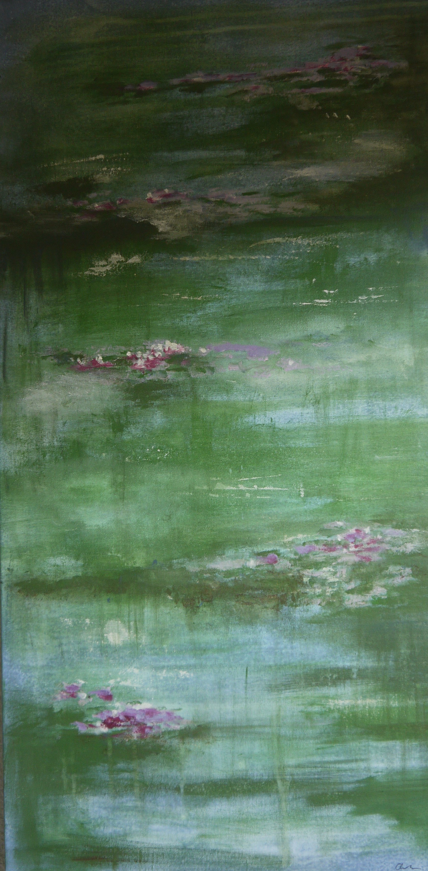 Pond 100x50